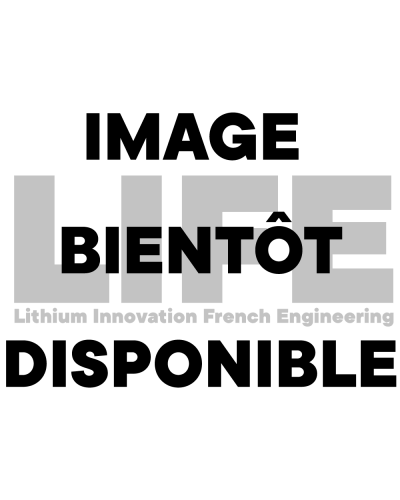 Batterie Li-Ion 36V 100A